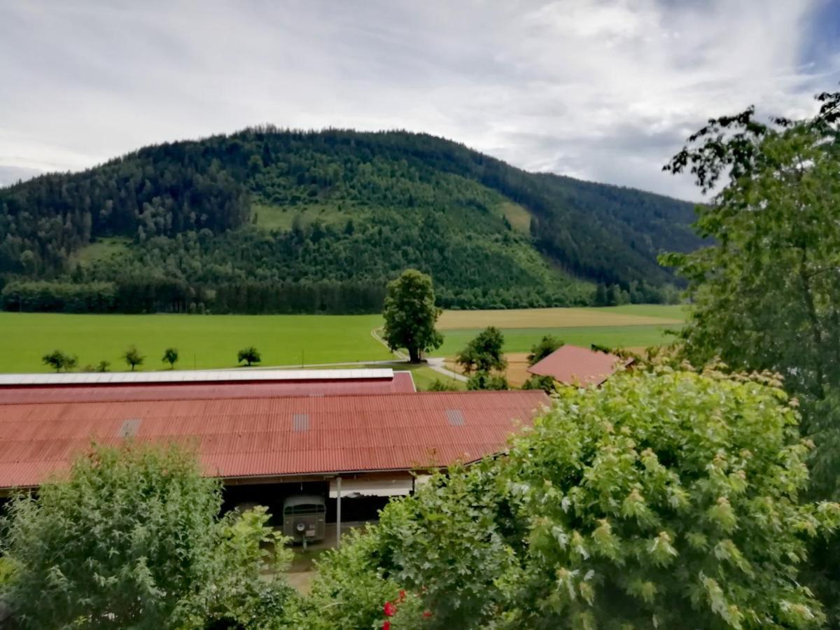 Ferienwohnung Erni Feldkirchen in Kärnten Extérieur photo